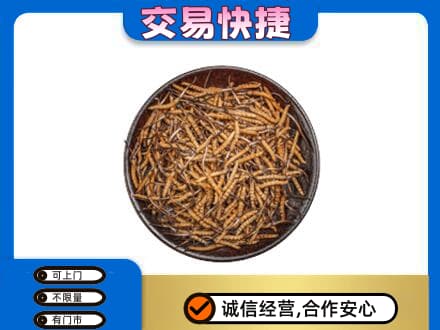 南阳市邓州礼品回收虫草.jpg